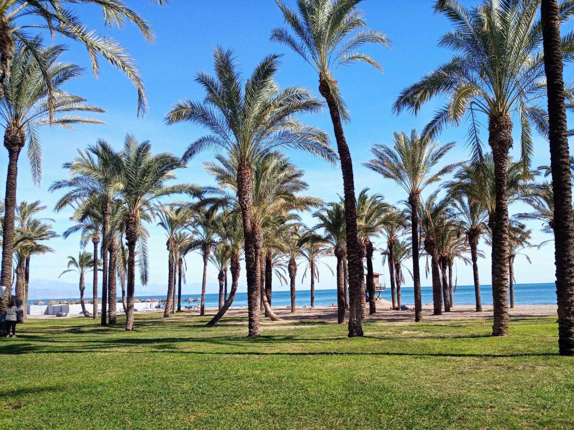 Apartamento La Carihuela A 2 Minutos De La Playa توريمولينوس المظهر الخارجي الصورة